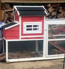 Picture of puppies relaxing in an open re-purposed chicken coop