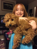 Picture of happy girl holding red poodle dog in both arms